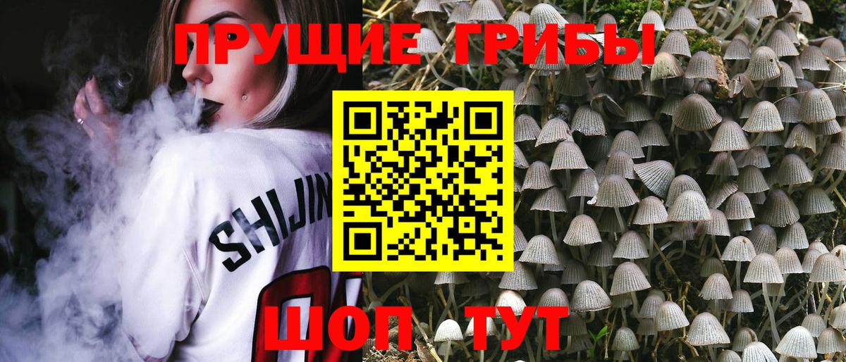 Псилоцибиновые грибы Magic Shrooms  Вход с VPN  сколько стоит  Когалым 