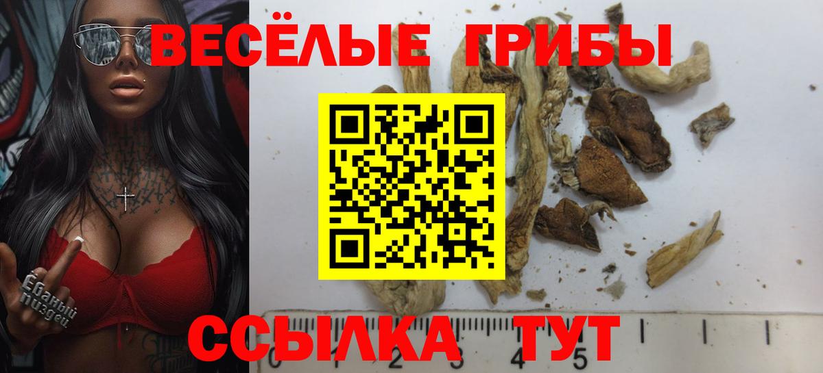 Псилоцибиновые грибы GOLDEN TEACHER Когалым